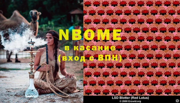 ПСИЛОЦИБИНОВЫЕ ГРИБЫ Верхнеуральск