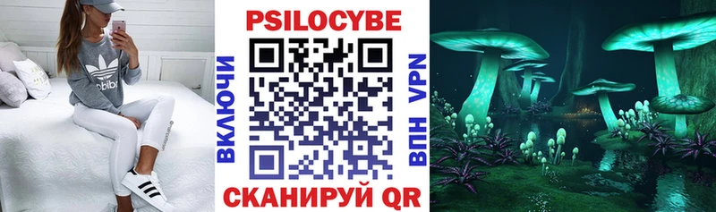 гидра как войти  Емва  Псилоцибиновые грибы Magic Shrooms 